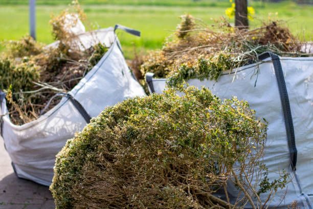 Best Residential Junk Removal  in Lucasville, OH